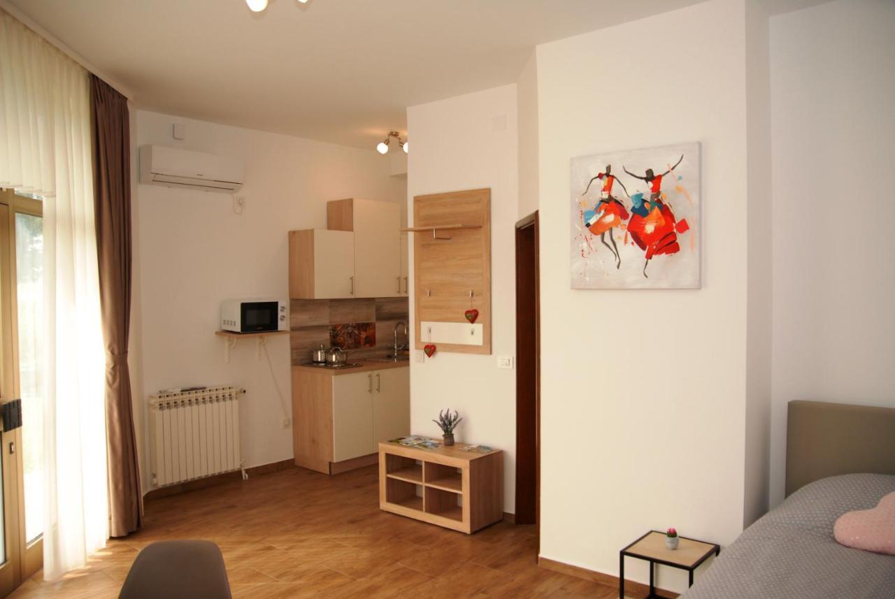 קראפינסקה טופליצה Studio Apartmani Toplicka Bajka מראה חיצוני תמונה
