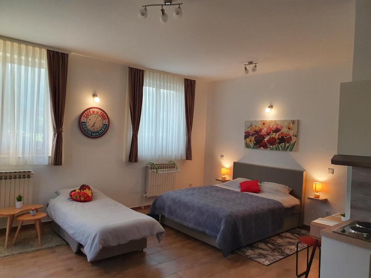 קראפינסקה טופליצה Studio Apartmani Toplicka Bajka מראה חיצוני תמונה